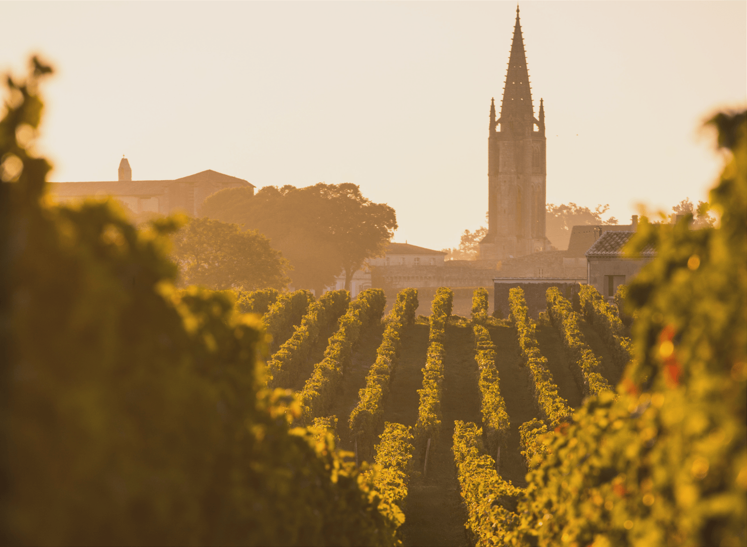 Bordeaux