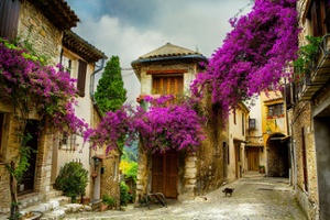 Personalized Cruise Experiences | Pre and Post Cruise Stays | Shore Excursions | Keytours Vacations