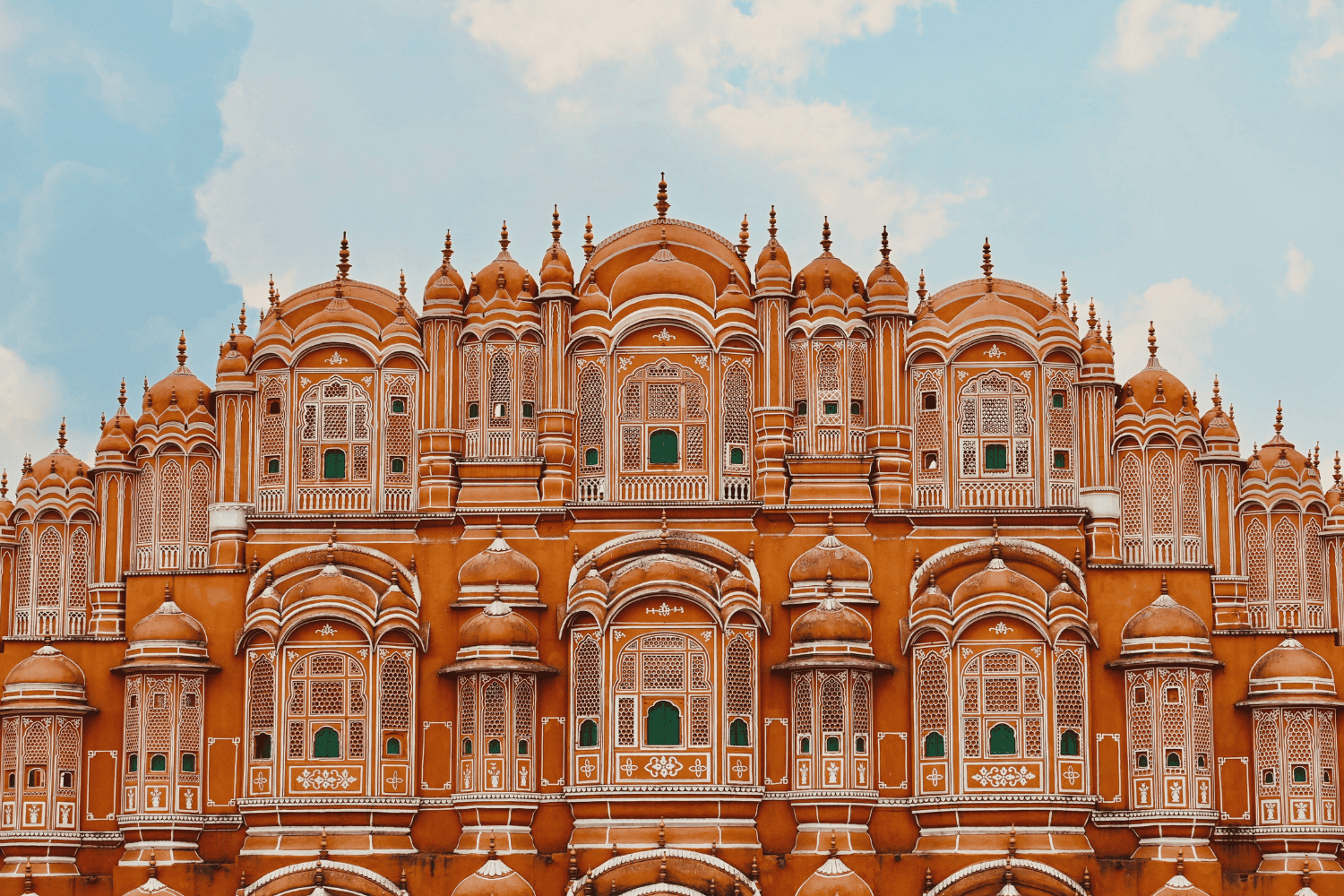 India Golden Triangle And Tigers (3)