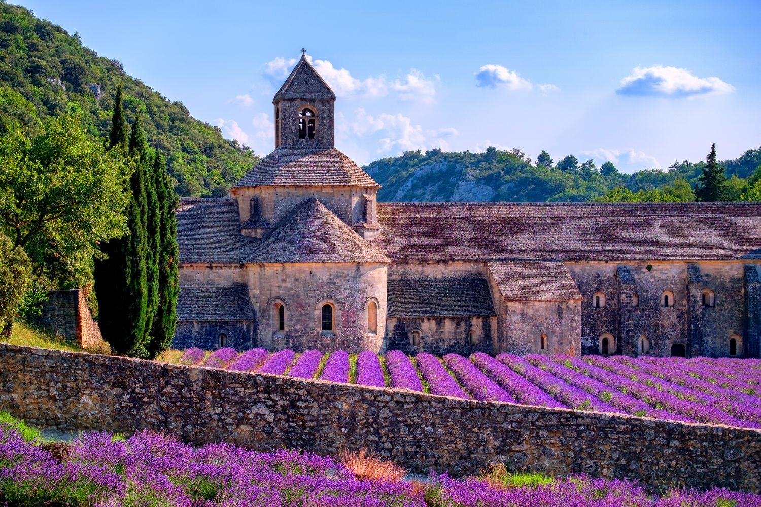 Provence to Paris_ France Explorer