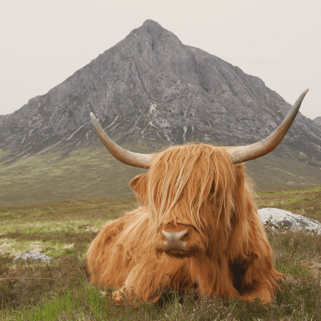 Scotland
