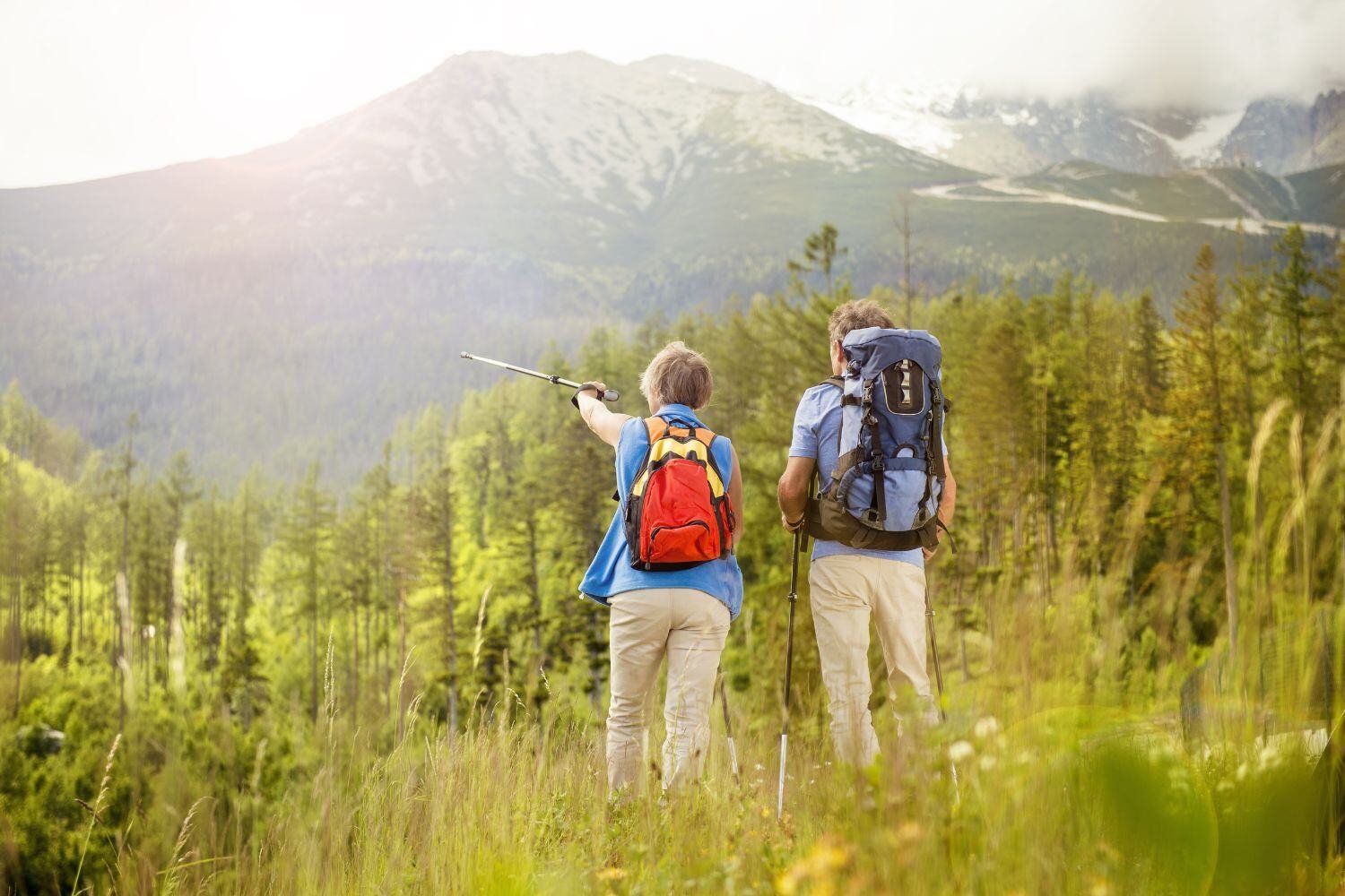 _Hiking Senior Group Travel Embrace Natures Beauty