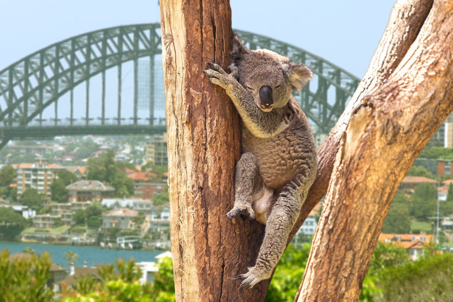 australia-Travel-Keytours-Vacations-Customized-Tours