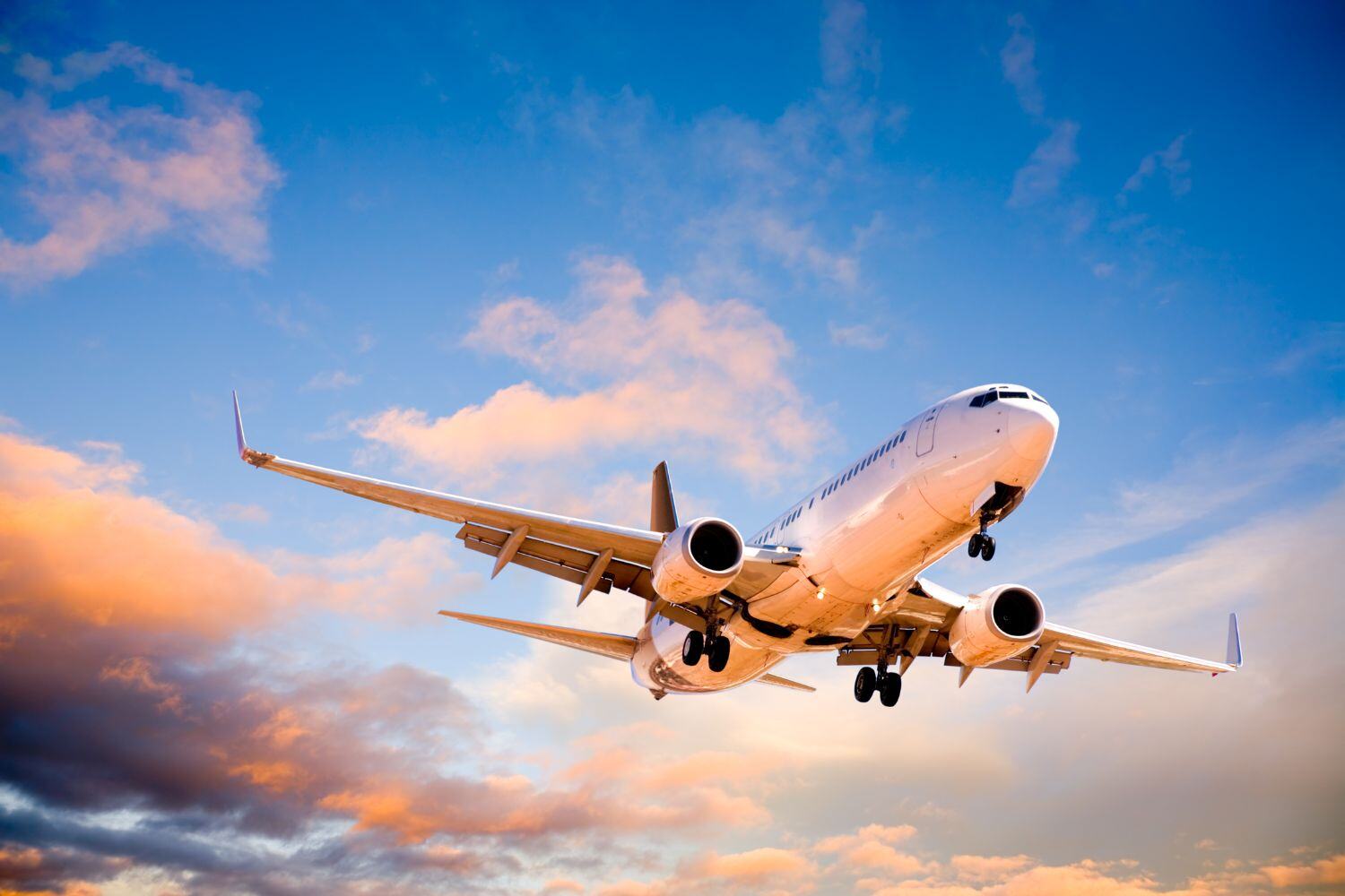 Airfare & Private Transfers