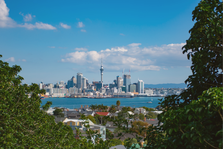 Auckland Pre or Post Cruise