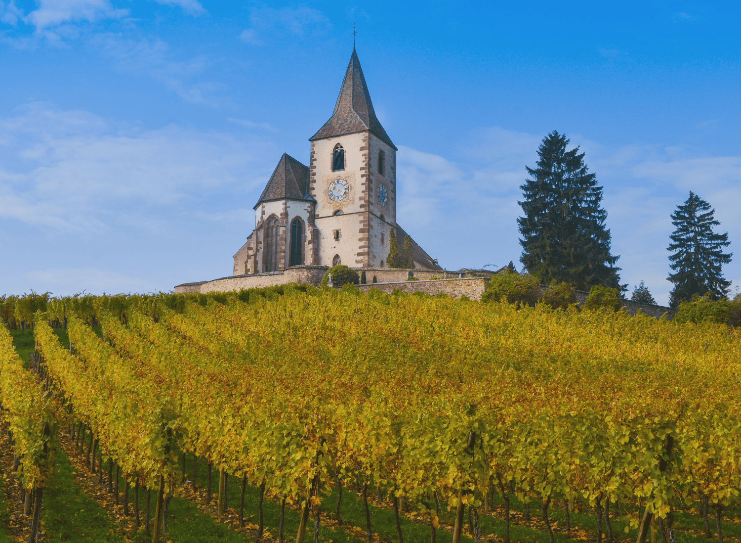 Bordeaux France Wine Country Escapade