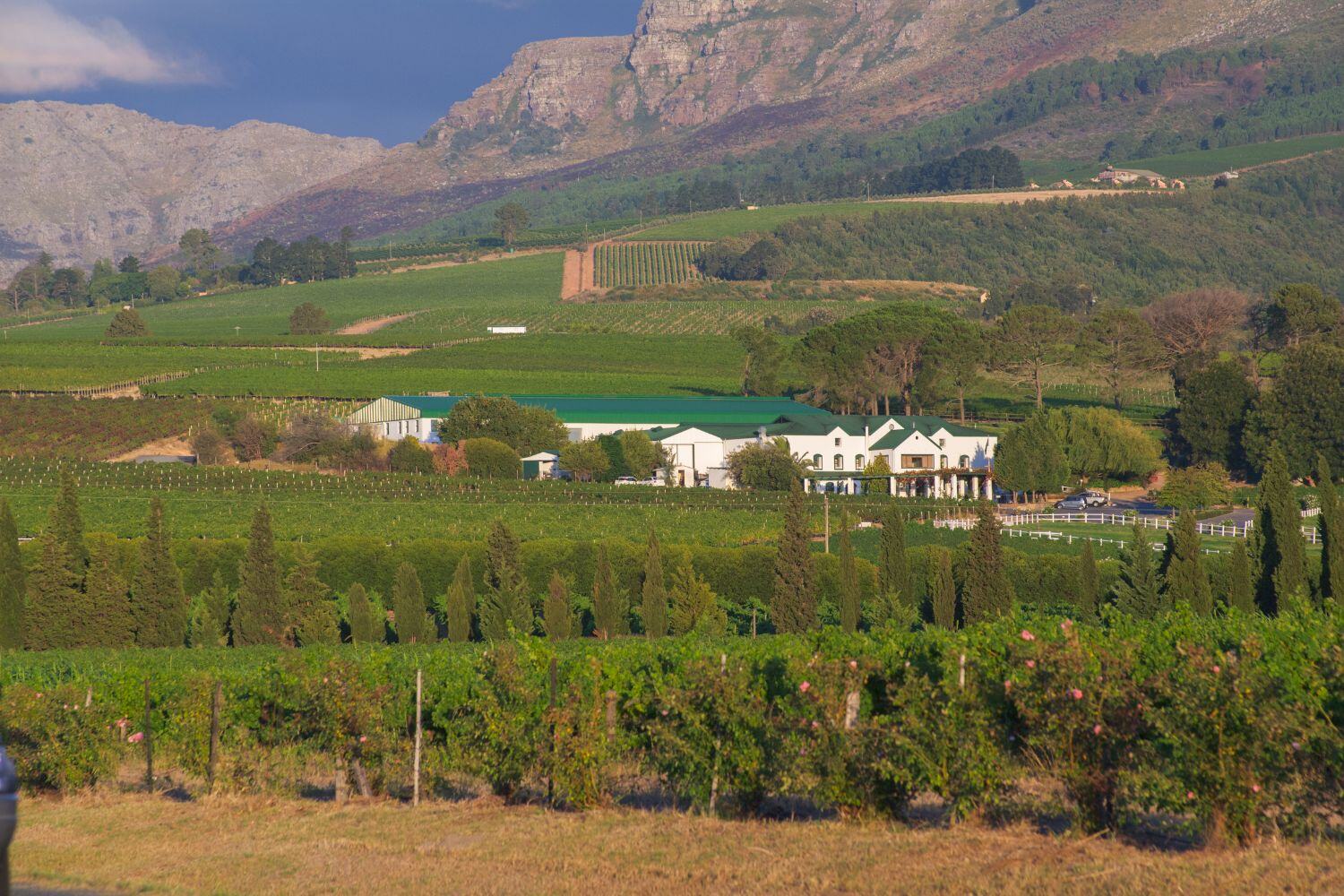 Cape Town and Winelands Escapade