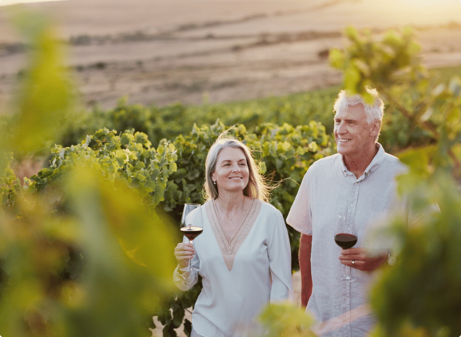 Capetown and Winelands Escapade