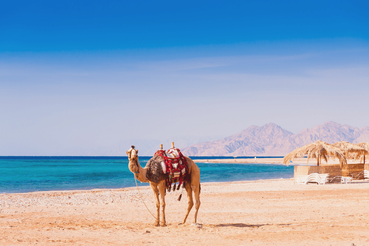 El Gouna Red Sea Escapade