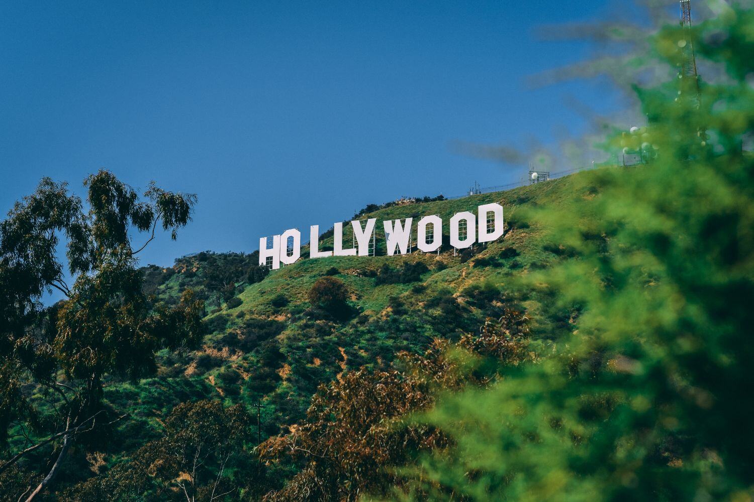 Los Angeles, USA_ Film & Media Travel Education Custom Private Groups