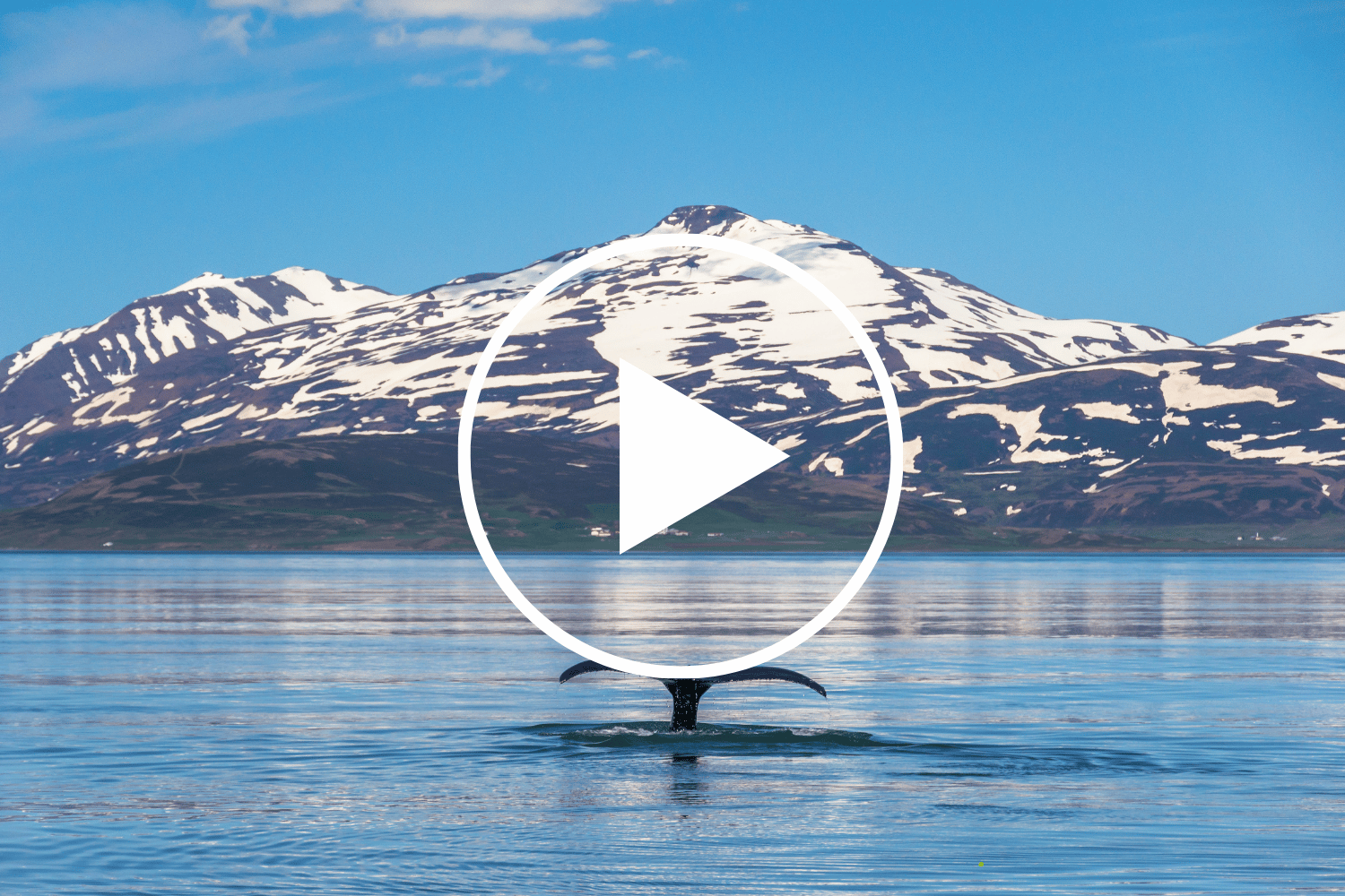 Hot Bookings, Cool Escapes -  Free Travel webinars for travel Professionals