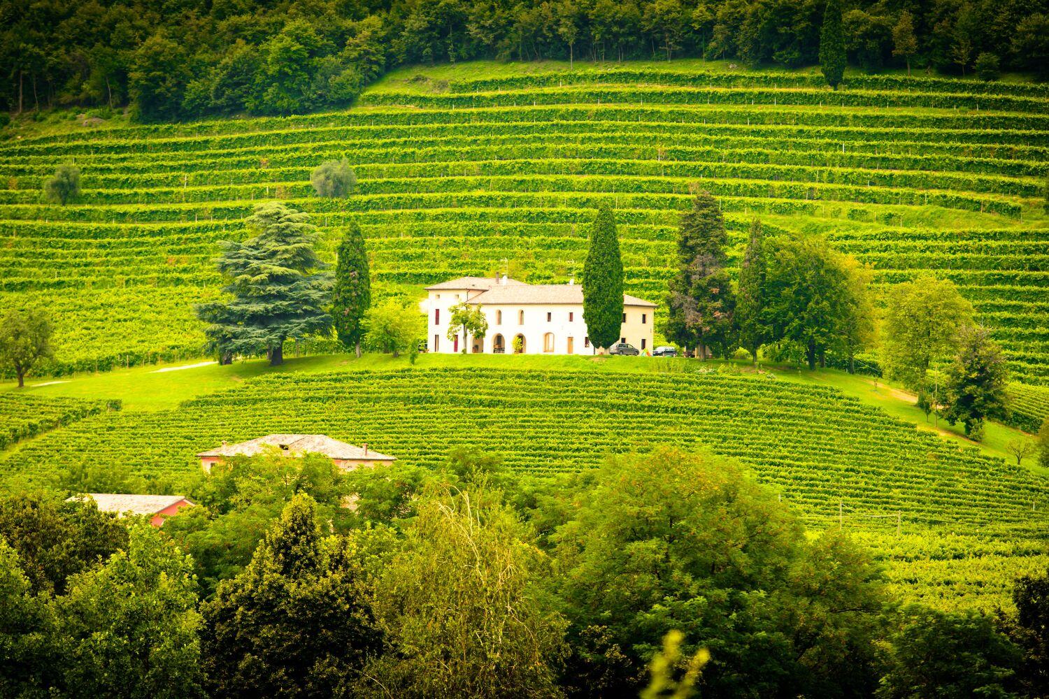 Private Tuscan Taste Track in Chianti