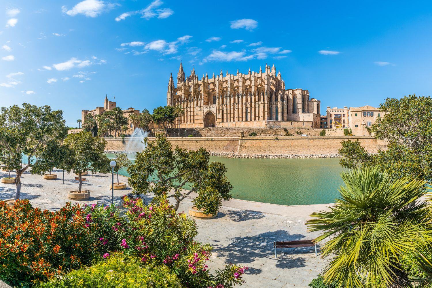 Catedral-Basílica de Santa María de Mallorca (2)