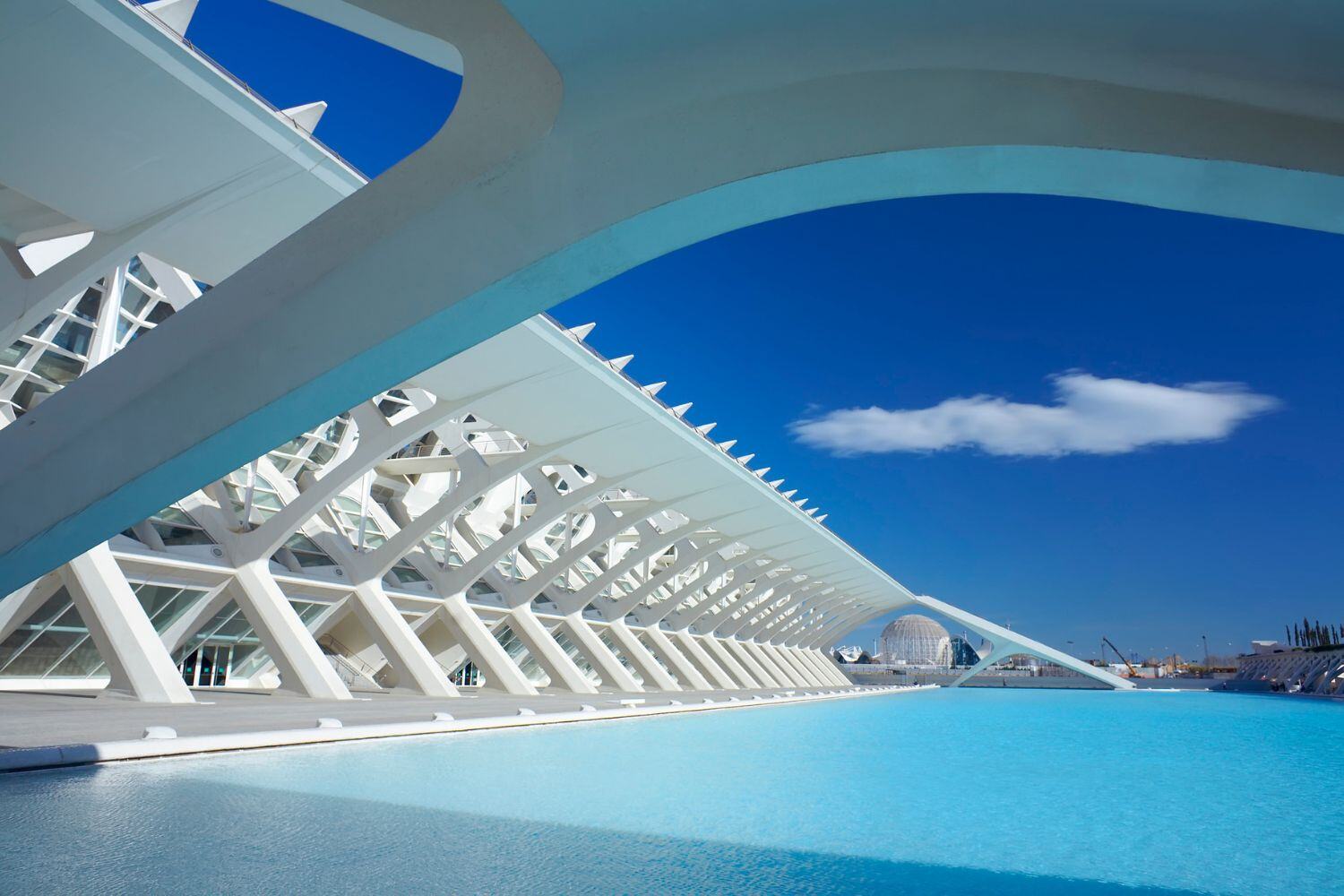 Valencia-Ciudad de las Artes y las Ciencias (3)