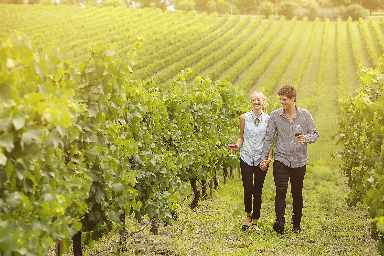 Argentina and Chile Wine Country Explorer