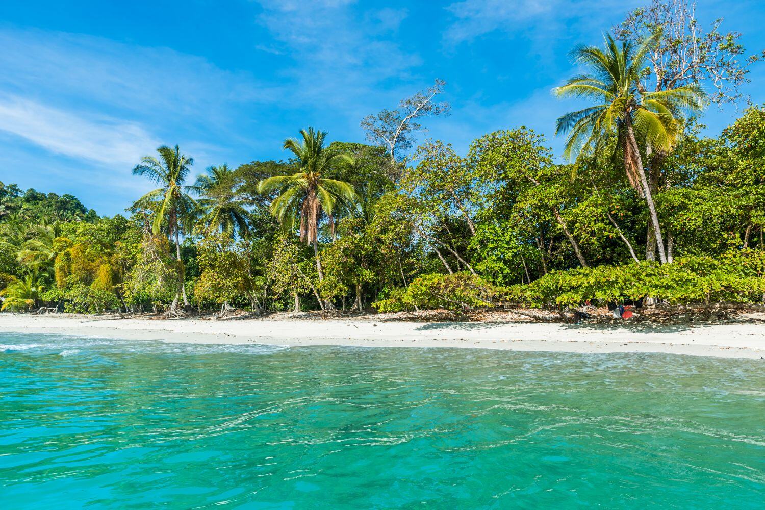 Playa Manuel Antonio, Costa Rica _  Top Beach Destinations (2)