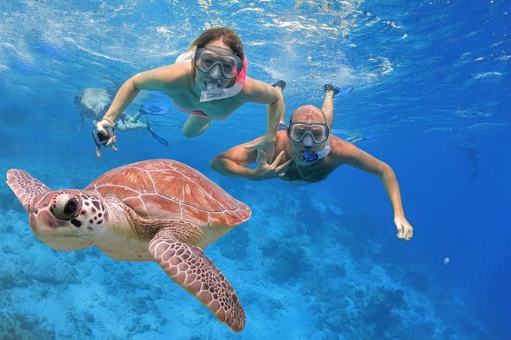 punta cana snorkeling