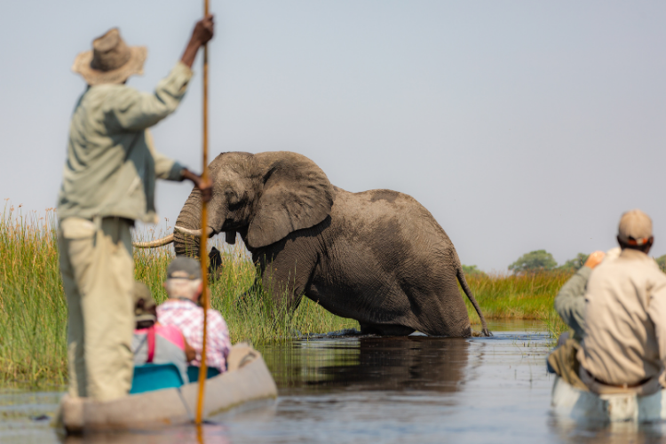 Luxury Okavango Delta