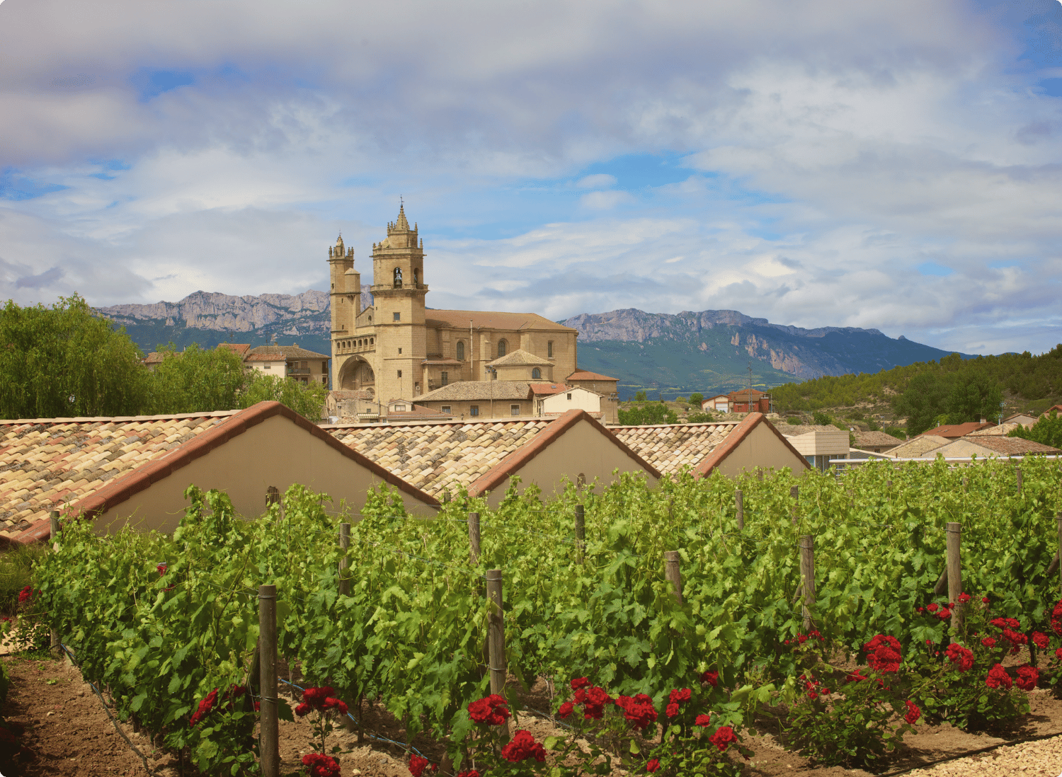 Madrid and La Rioja Wine Region Discovery