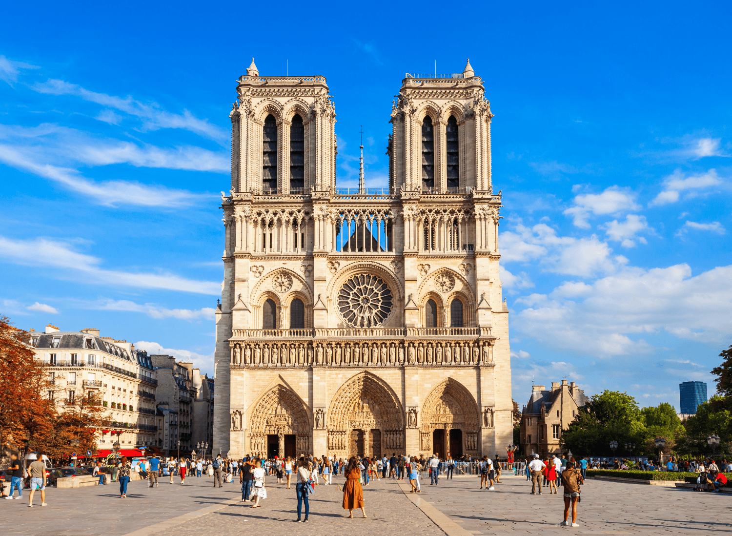 Private Notre Dame, Île Saint Louis & Île de la Cité Visit  