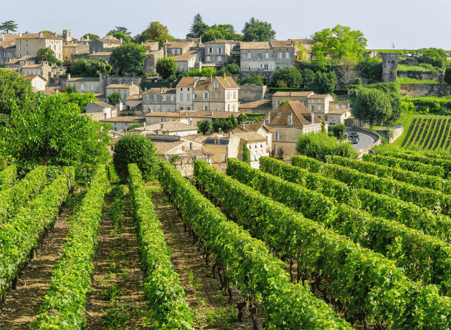 Provence to Paris France Explorer (3)
