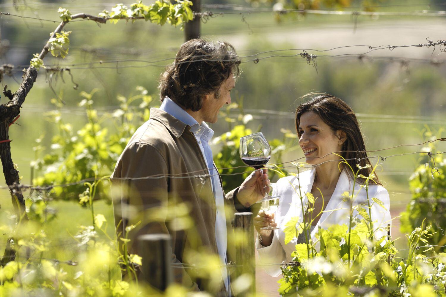 Argentina and Chile Wine Country Explorer Romance Travel.jpg